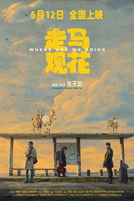 走马观花 高清在线观看海报