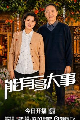 能有多大事 全集高清在线海报