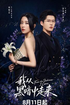 我从黑暗中走来 全集高清在线海报